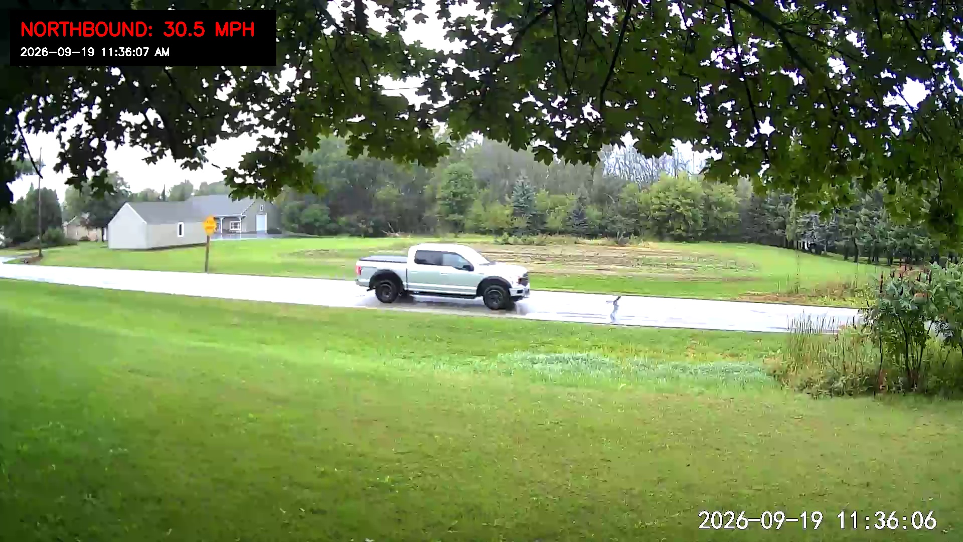 Traffic Capture Frame