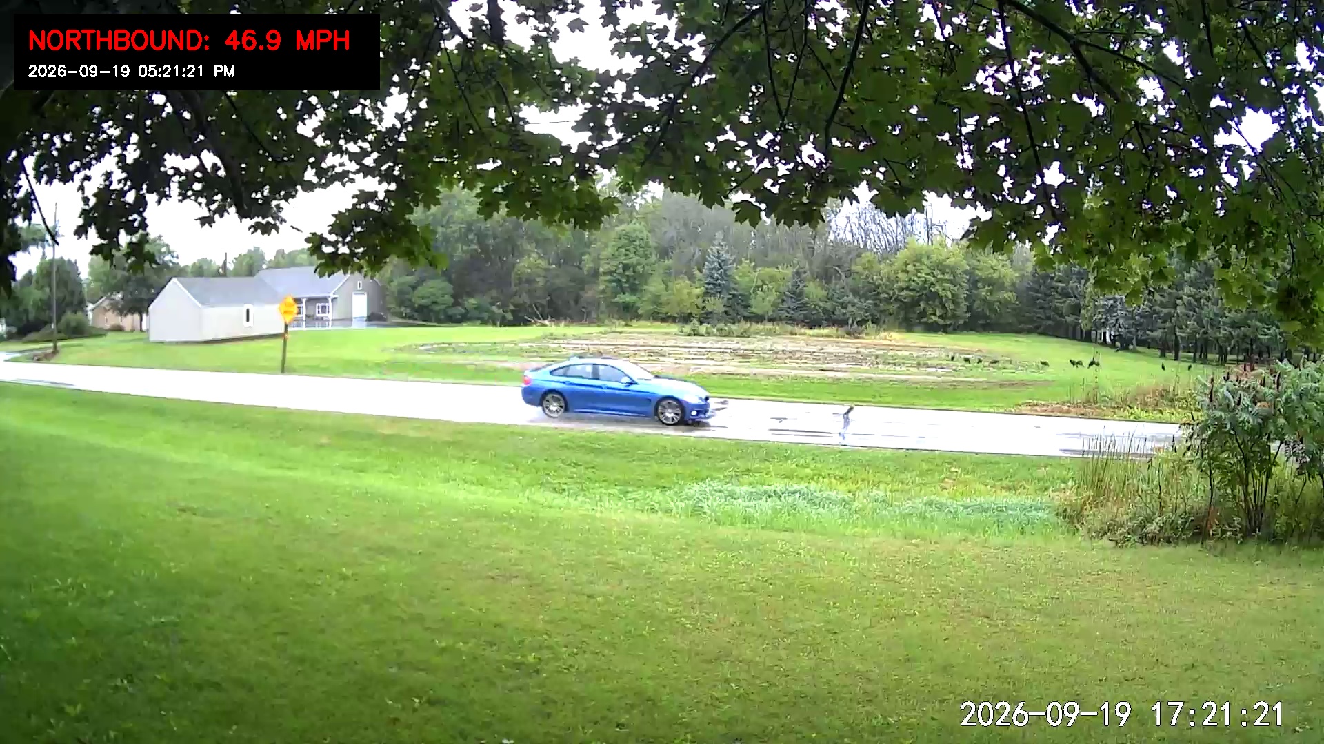 Traffic Capture Frame